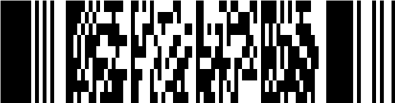 Boarding pass scanner: How to scan and parse the PDF417 code on flight tickets 1 boarding pass scanner PDF417