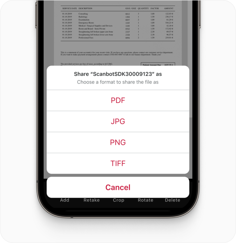 Multiple export formats