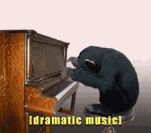 Piano monkey