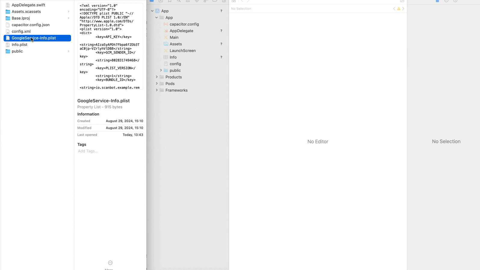 Drag and drop GoogleService-Info.plist in XCode project