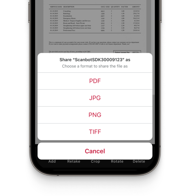 Multiple export formats