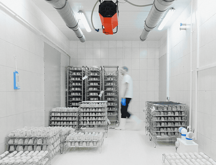cold chain logistics management